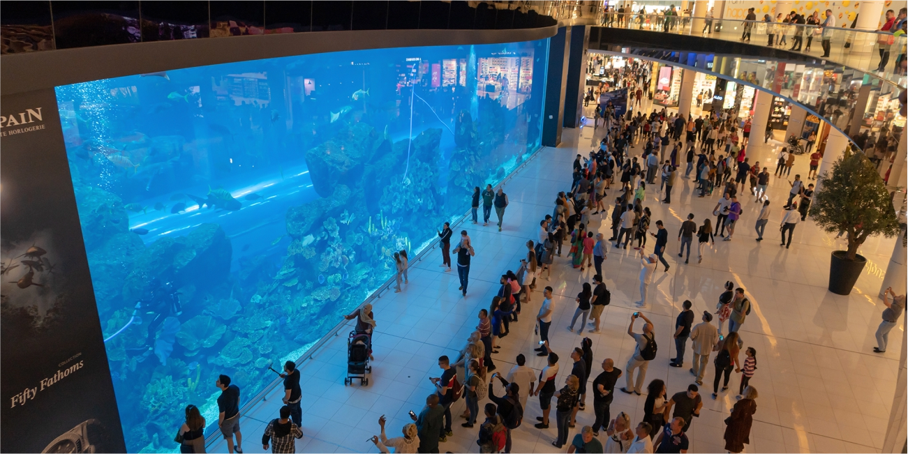 aquariam.webp