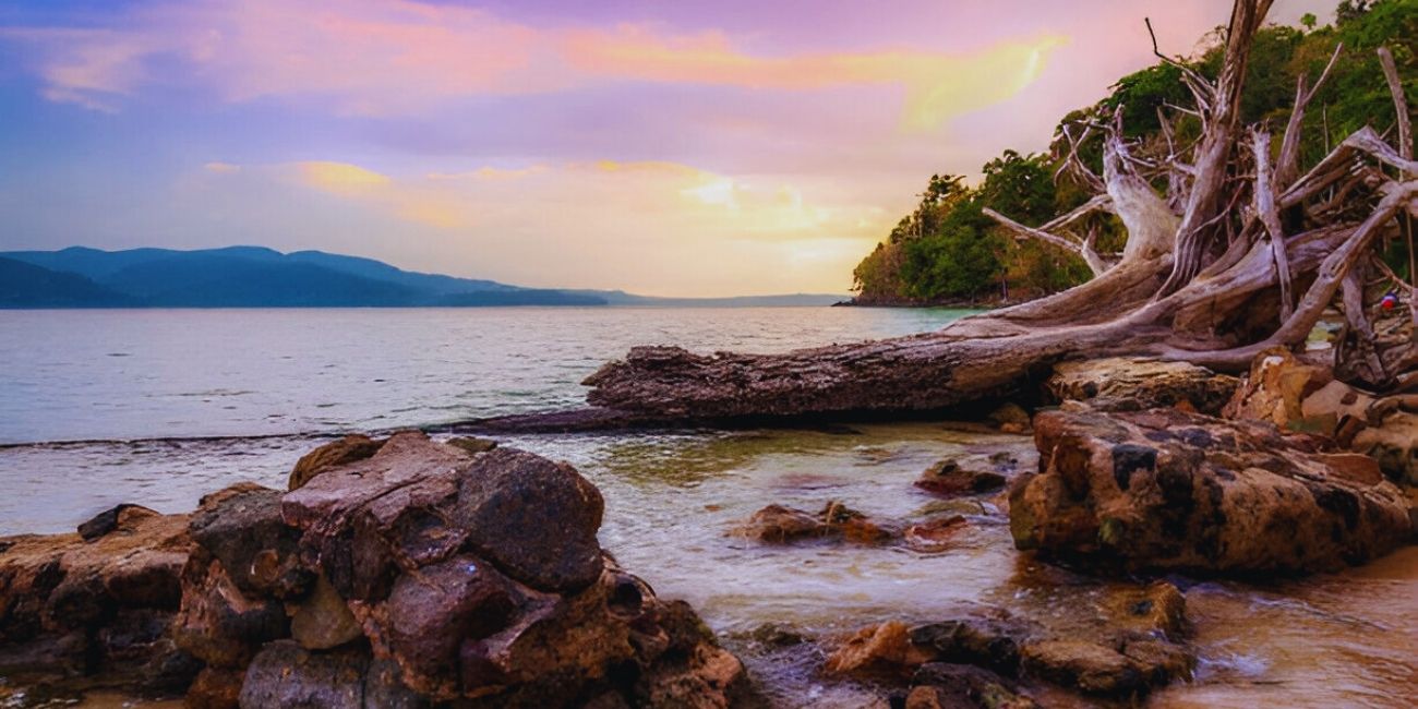 Chidiya Tapu port blair.jpg